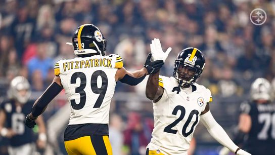 Steelers Pro Bowl Safety Minkah Fitzpatrick Shares How Critical Patrick Peterson Playing Safety Was (Steelers News)
